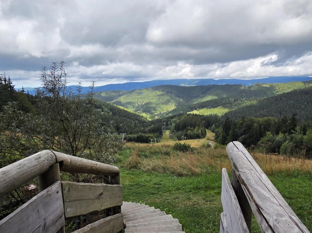 Aktuality - Teambuilding 2026: Away from the Office for a While, but Still One Team